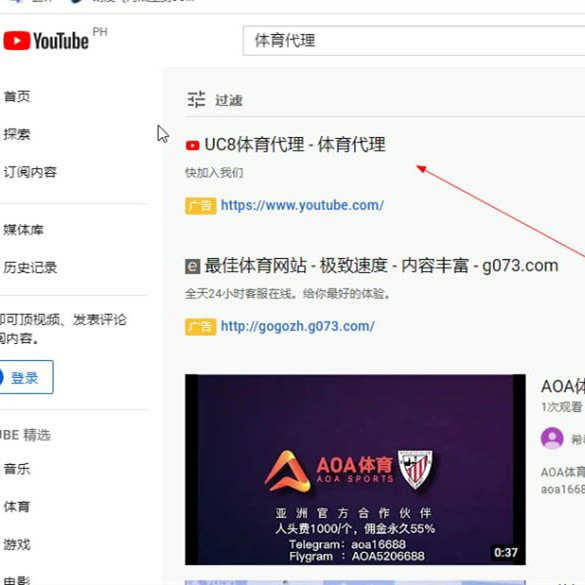 [广告投放案例 4]