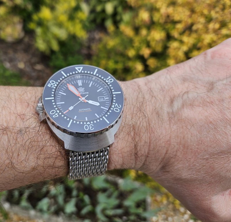  Le club des heureux propriétaires décomplexés de montres "hommage" - tome 10 - Page 3 20250412-155444