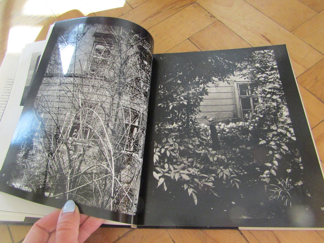 IMG 7101 — Postimages