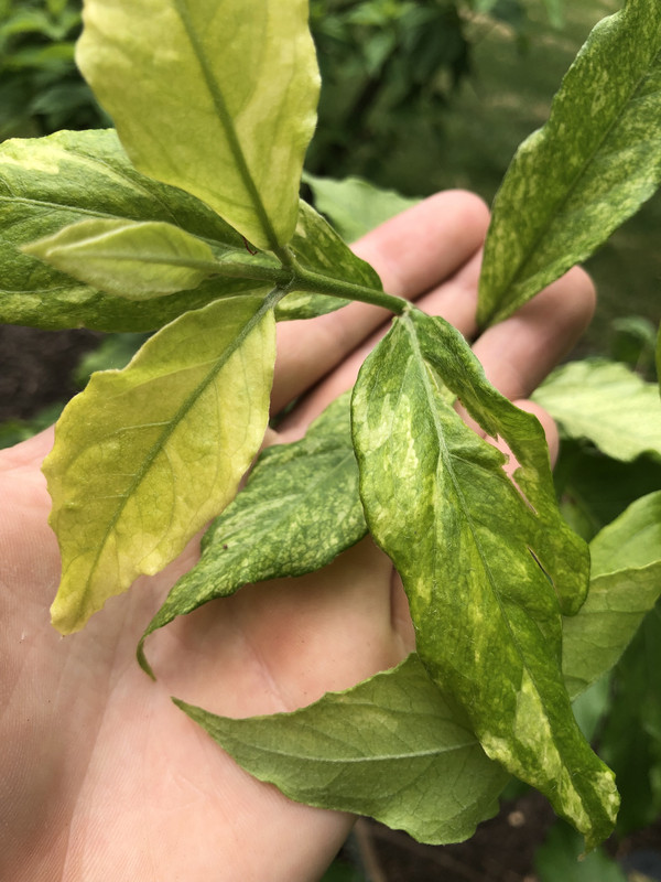 45770493-082F-483E-9B40-ED987A04464E