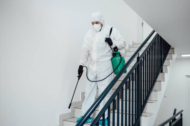 Orlando Termite Treatment