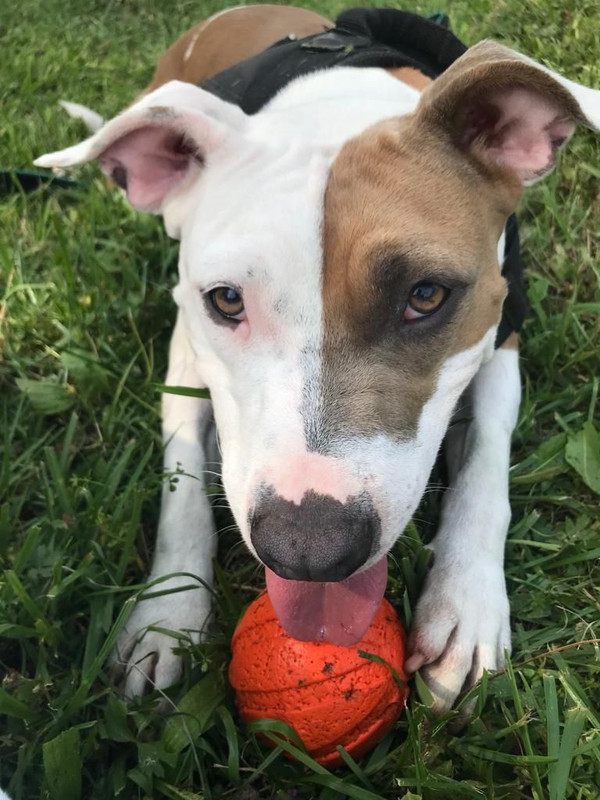 260542D7-3FC8-4754-9720-B333E32CA6D2