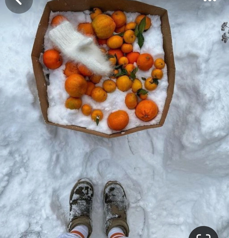 Screenshot_20240110_194732_Pinterest