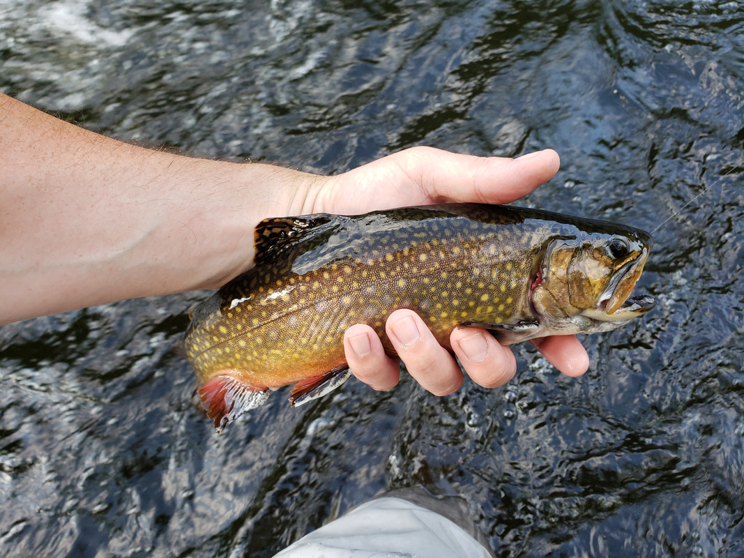 20190702_172837