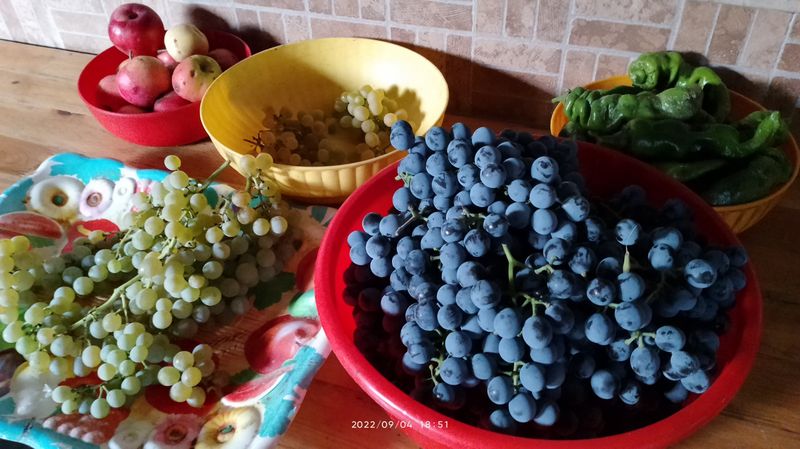 https://i.postimg.cc/sxV9pGtv/szolo2-alma-paprika.jpg