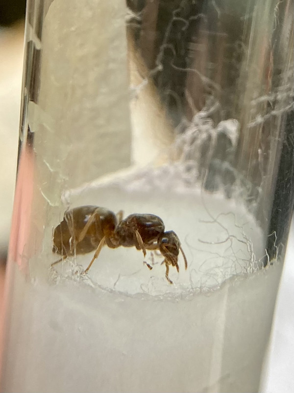 22E072E6-6D79-4AE4-AAAA-EAD35ED9626F