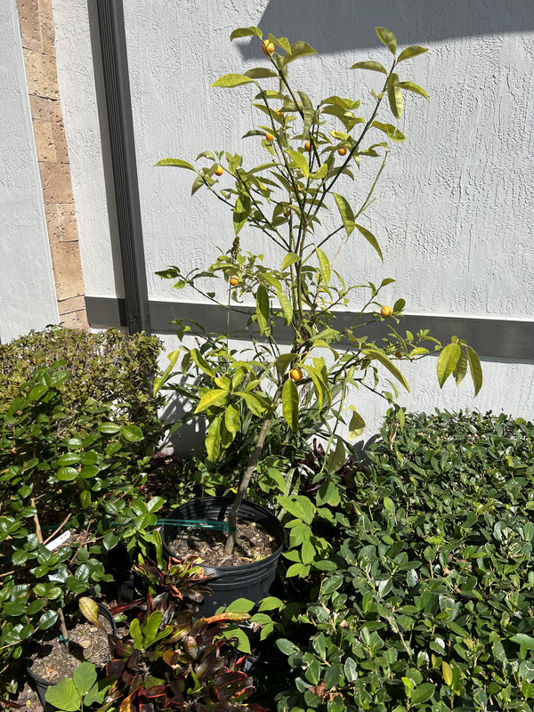 260C3209-2B33-45C6-9CE4-3CD8A6D68809