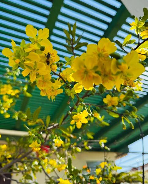 [Image: IMG_3114.jpg]