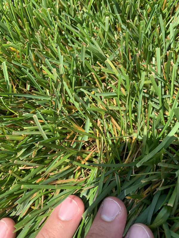 E705D0BA-5392-4574-B668-FC5CB78EBF2F