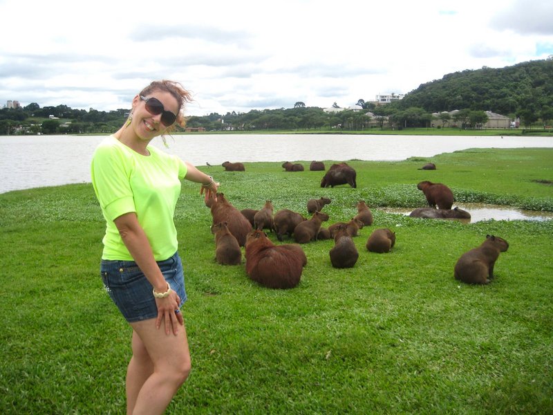 Curitiba-1-3-2010 - Brasil y sus pueblos-2010 (14)