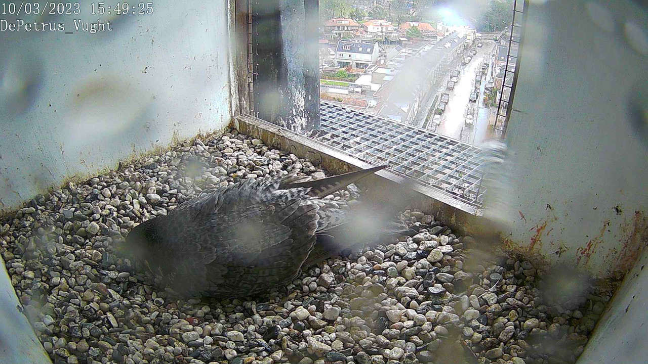 3A691070-522C-4A34-BFD5-5C50DBC14BBA