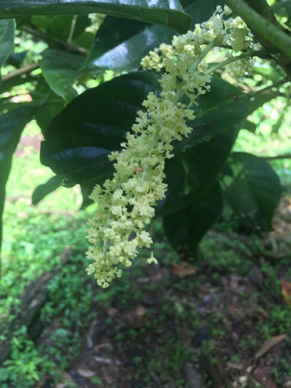 D13CAE67-7122-485A-80E7-22D9E2F702AB