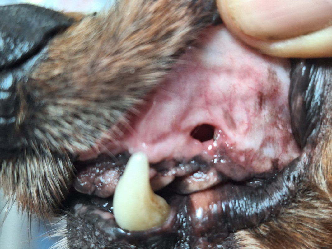 [Image: 20240509-104544.jpg]