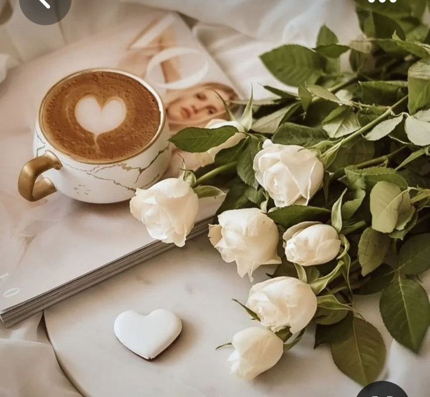 Screenshot_20230517_001835_Pinterest