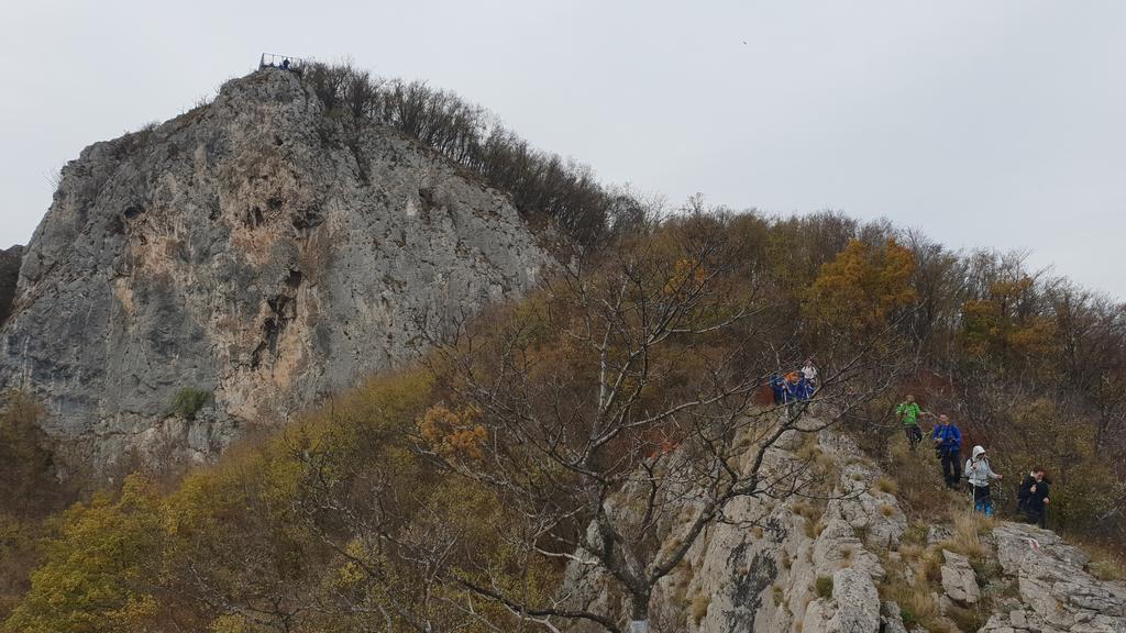 Slika