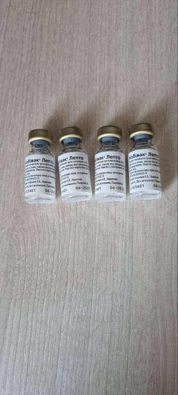 photo_2024-04-18_08-45-48 (2)