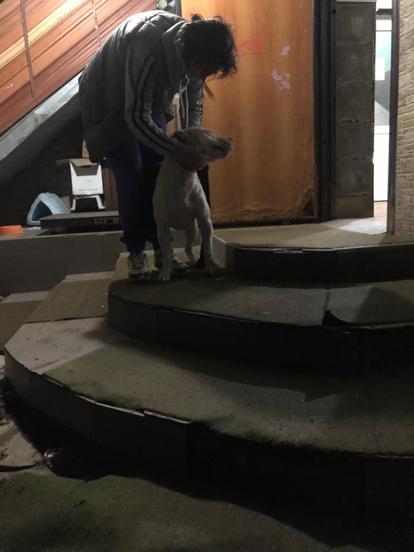 89990EA5-09ED-4696-8F56-215FB5D31C1F