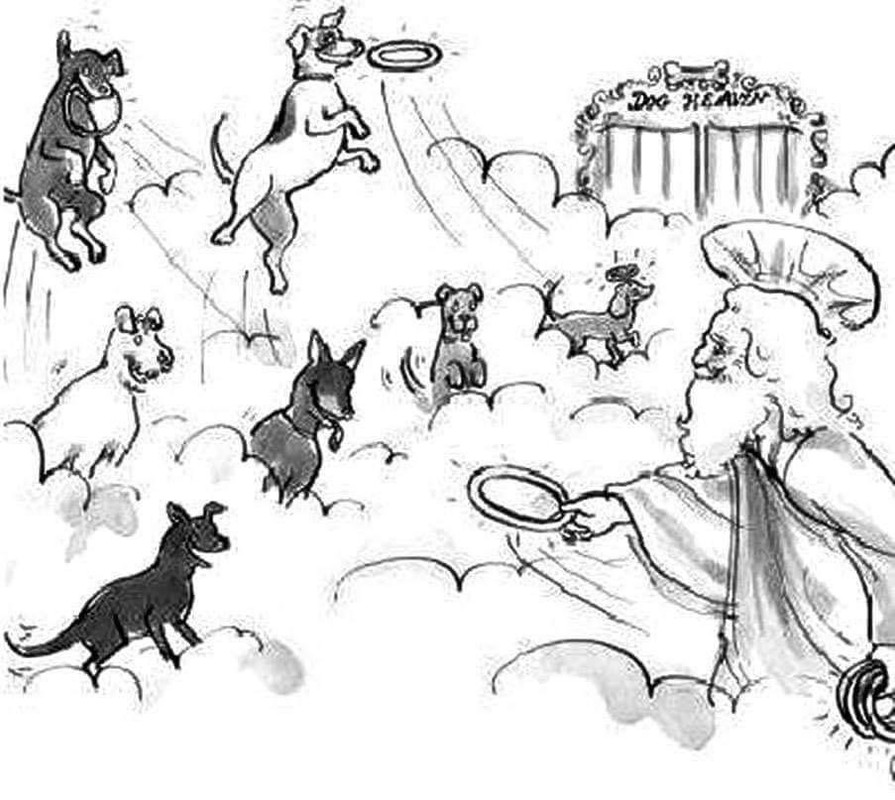 [Image: 26591-D76-2-EB4-43-C9-BB78-A6-F0-F8573-AF1.jpg]