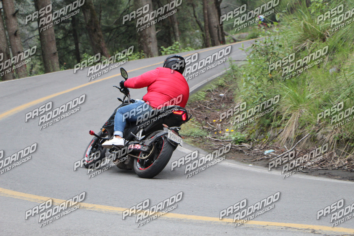 IMG 6176 wm 744362 5999999999 watermarked — Postimages