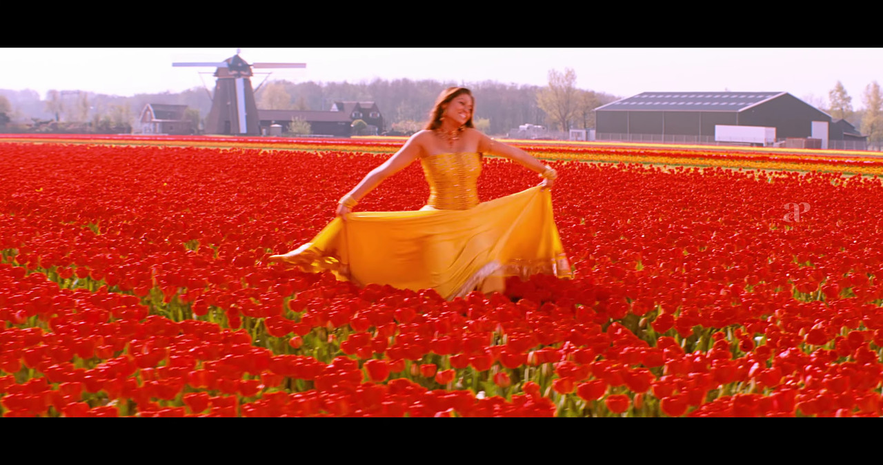 VideoCapture_20241122-200352