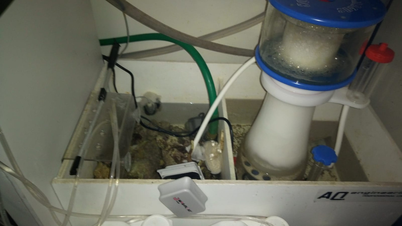 2018-07-09-PHOTO-00001144 (1)