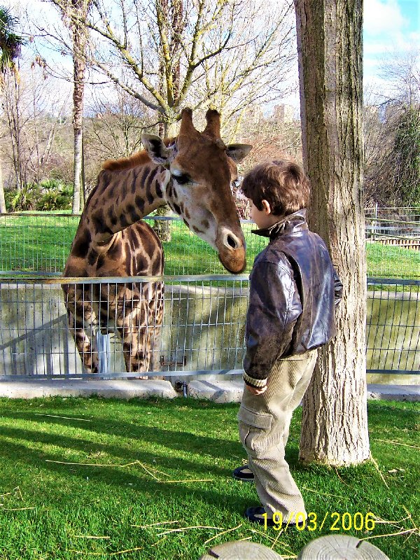 ZOO DE MADRID-1992/2001/2006/2007-MADRID - Paseando por España-1991/2016 (13)