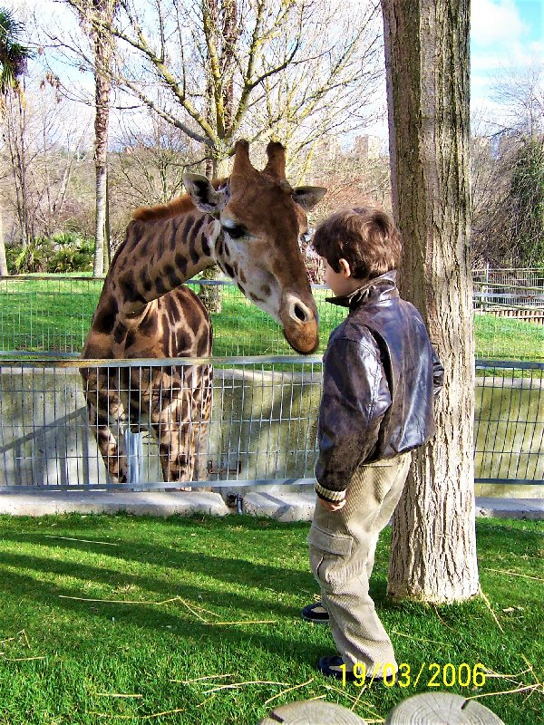 Paseando por España-1991/2015-Parte-1 - Blogs of Spain - ZOO DE MADRID-1992/2001/2006/2007-MADRID (13)