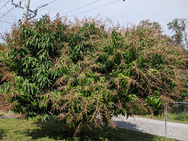 [Image: IMG-20200206-110402.jpg]