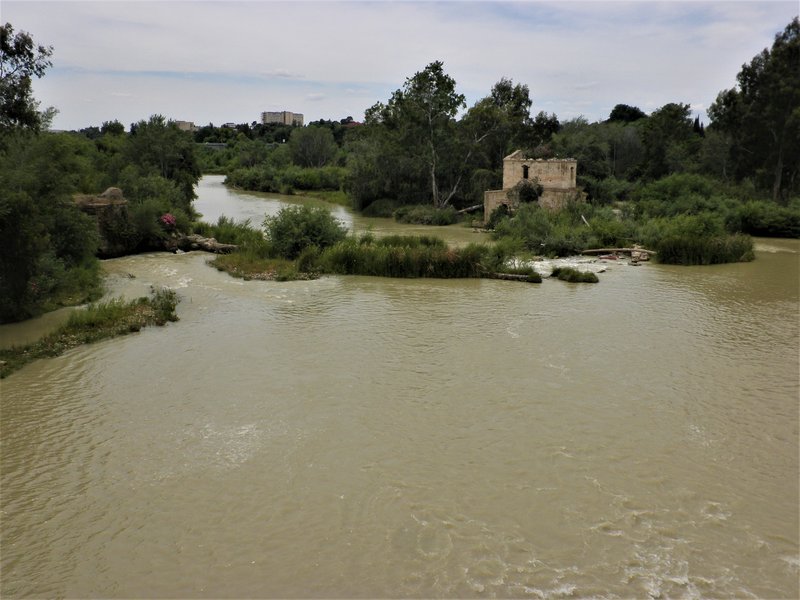 CÓRDOBA CAPITAL-2010/2012/2020 - Córdoba y sus pueblos-2017/2020 (40)