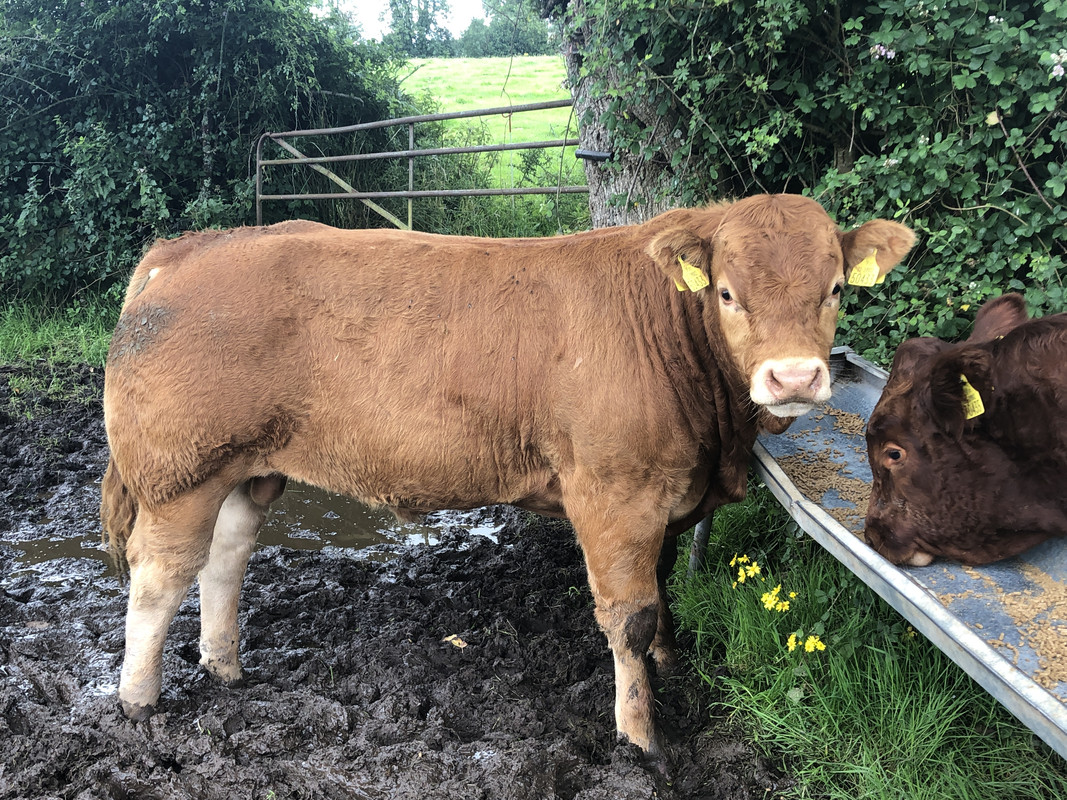 A09B6E83-C134-4CFF-86B4-5C9F7815151F