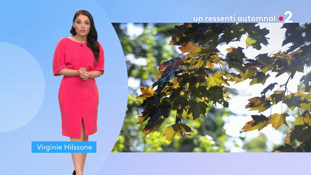 2020-07-15_12_55_Fr2_Meteo.mp4_snapshot_04.32.192
