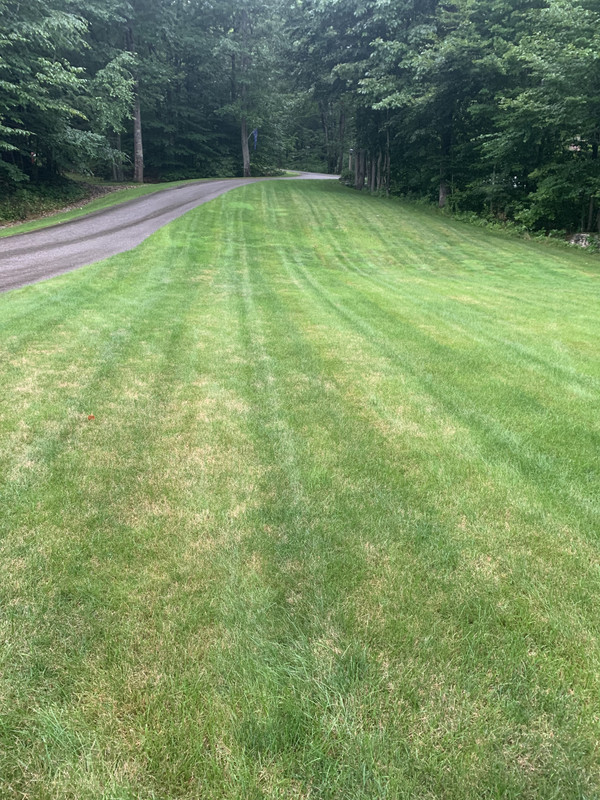 66BC6451-1175-4DCF-BFBA-8E7CA6BAEB0A