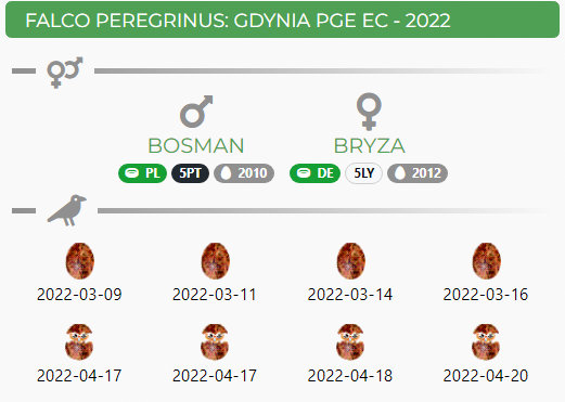 Gdynia-EDF - Pagina 2 Przechwytywanie-w-trybie-pe-noekranowym-21-04-2022-005620