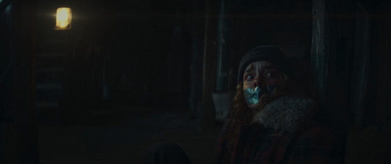 Dead of Winter 2025 BluRay [Hindi + Tamil + Telugu + English] 480p 720p ESub Screenshot