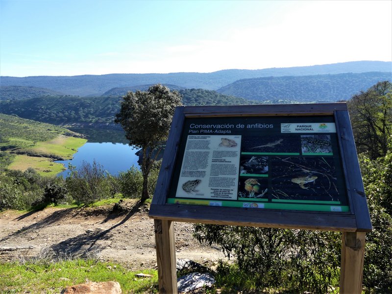 PARQUE NACIONAL DE MONFRAGÜE-2020/2023 - EXTREMADURA Y SUS PUEBLOS -2010-2023 (122)