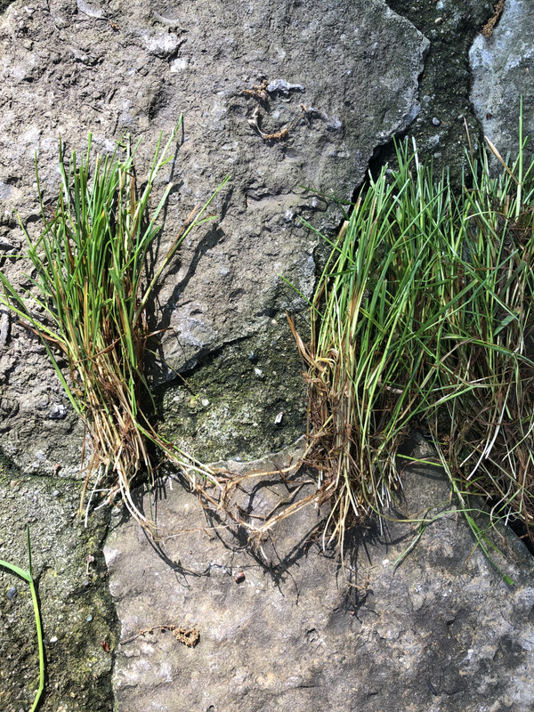 68CAD794-2DED-4115-A3D9-996518464E7A