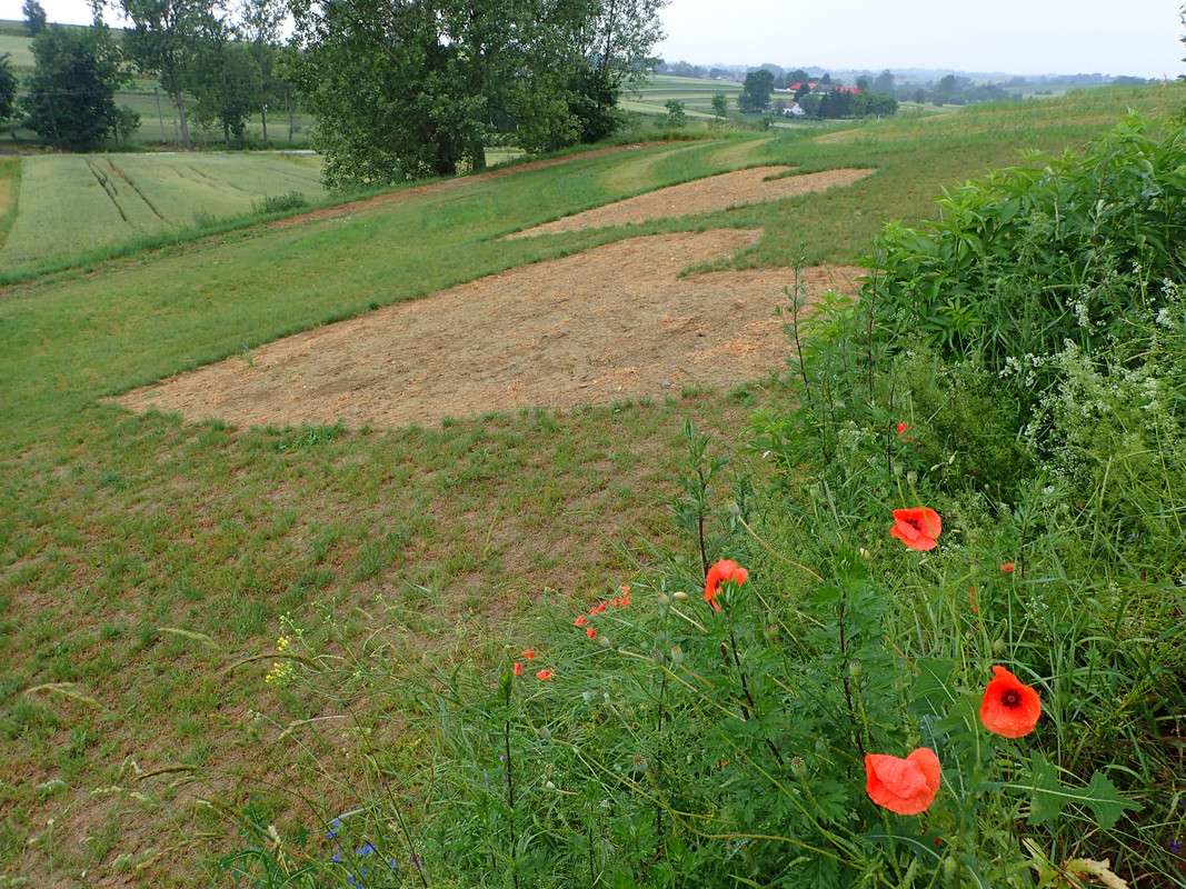 2019_0621OSTRÓW0017