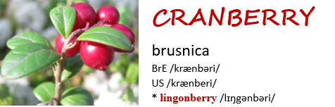 brusnica - cranberry, lingonberry 