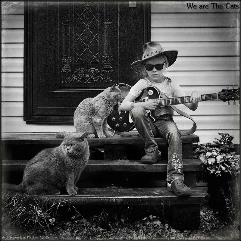 12065715-893596070706485-8065319628496709214-n