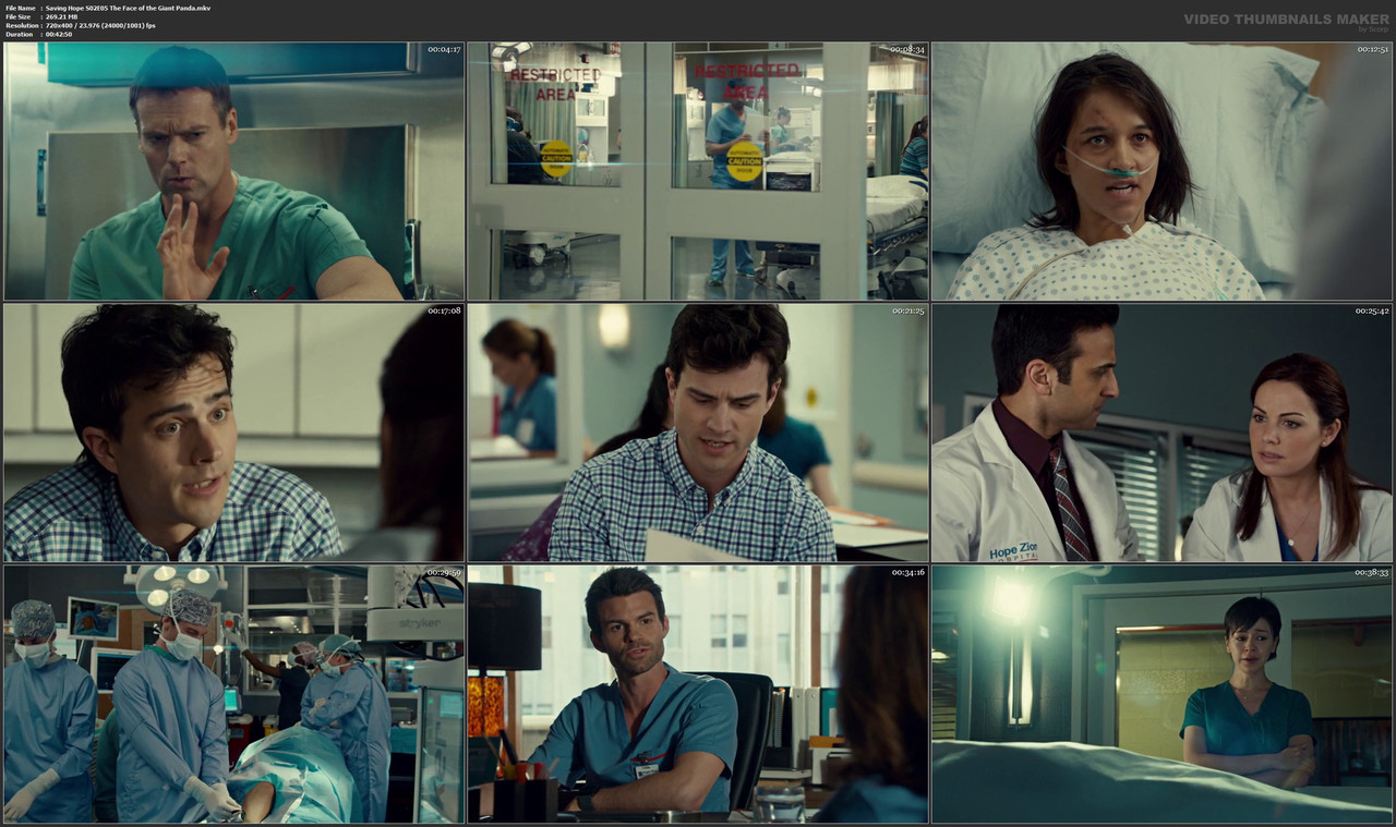 Saving Hope S02E05 The Face of the Giant Panda.mkv