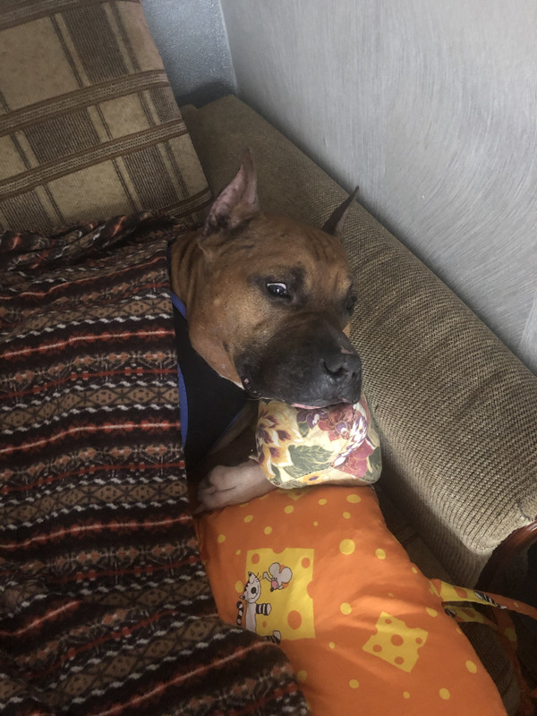 CB7F8DF8-D746-42FB-8402-F33D9C328333