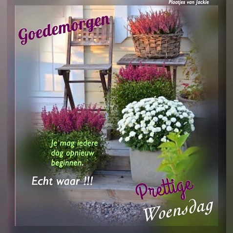 Goede-morgen-woensdag