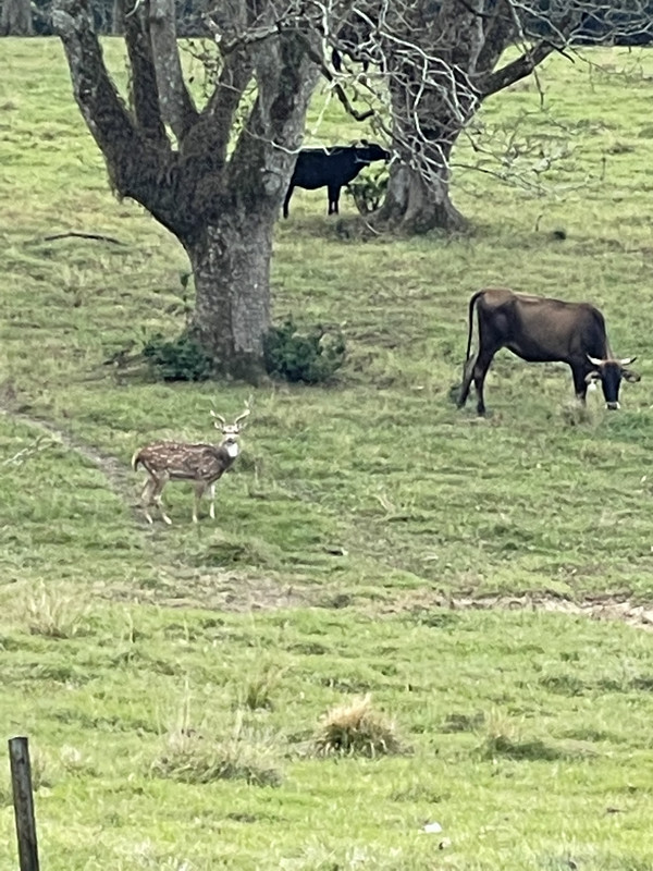 CC6BFC07-FFC6-4A70-BCFD-2C235815340A