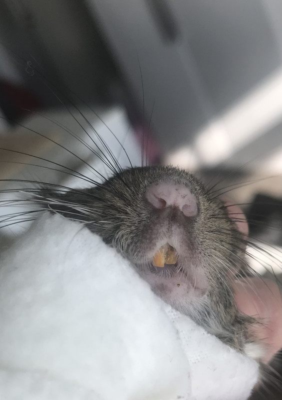 C91FC21C-1B1C-4890-9350-5F3F41D95015