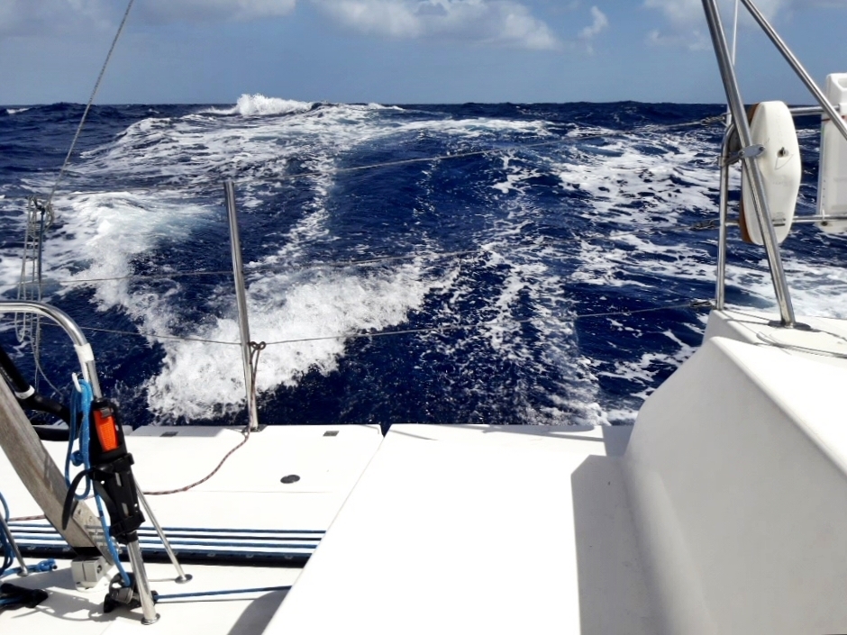 [Imagen: 20200217_071801.jpg]