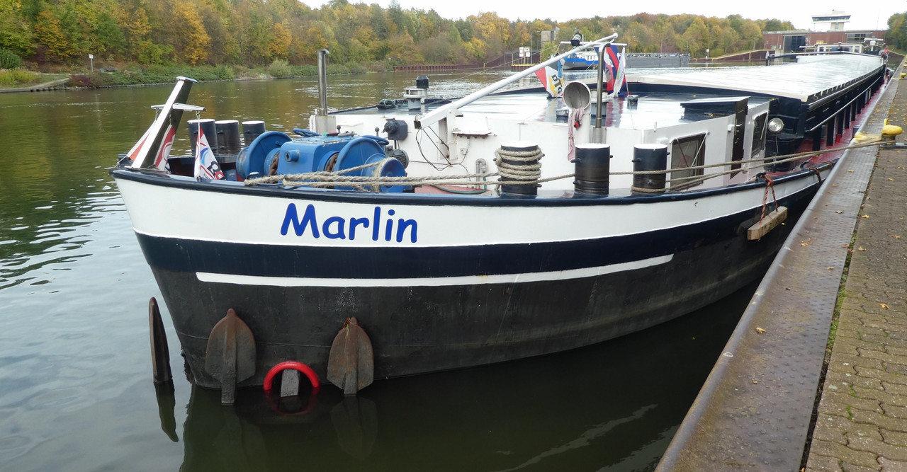 2022.10.27a Marlin