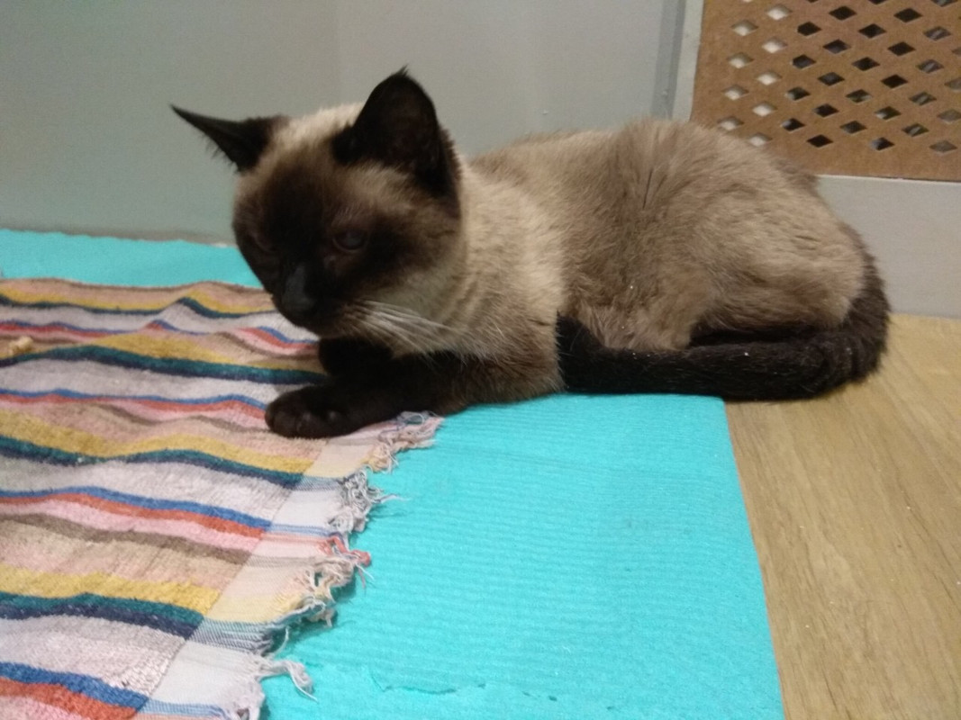 C2BF79A3-E062-4C47-8AA6-337FF970929C