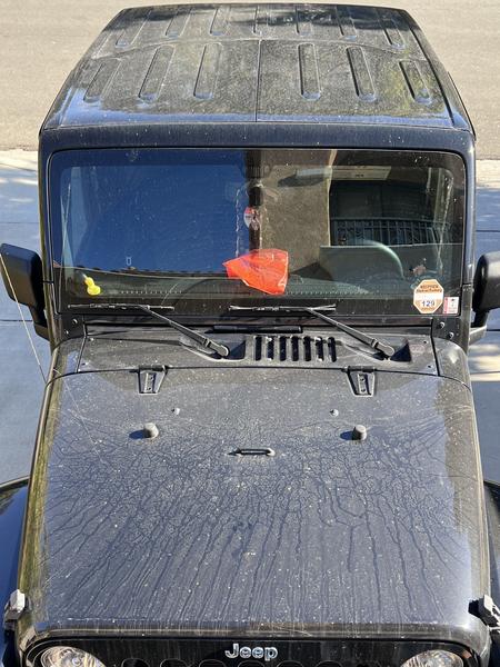 After auto detailing paint correction