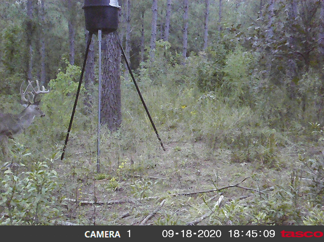 284B17CC-ED87-48A7-B4B2-EF77B13984E2