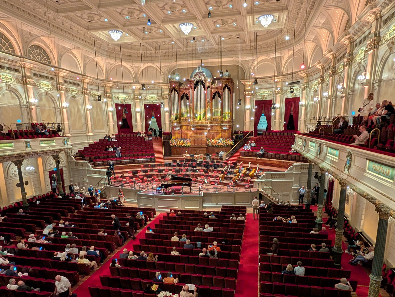 Трое в Амстердаме, не считая собаки. Переезд в Нидерланды.